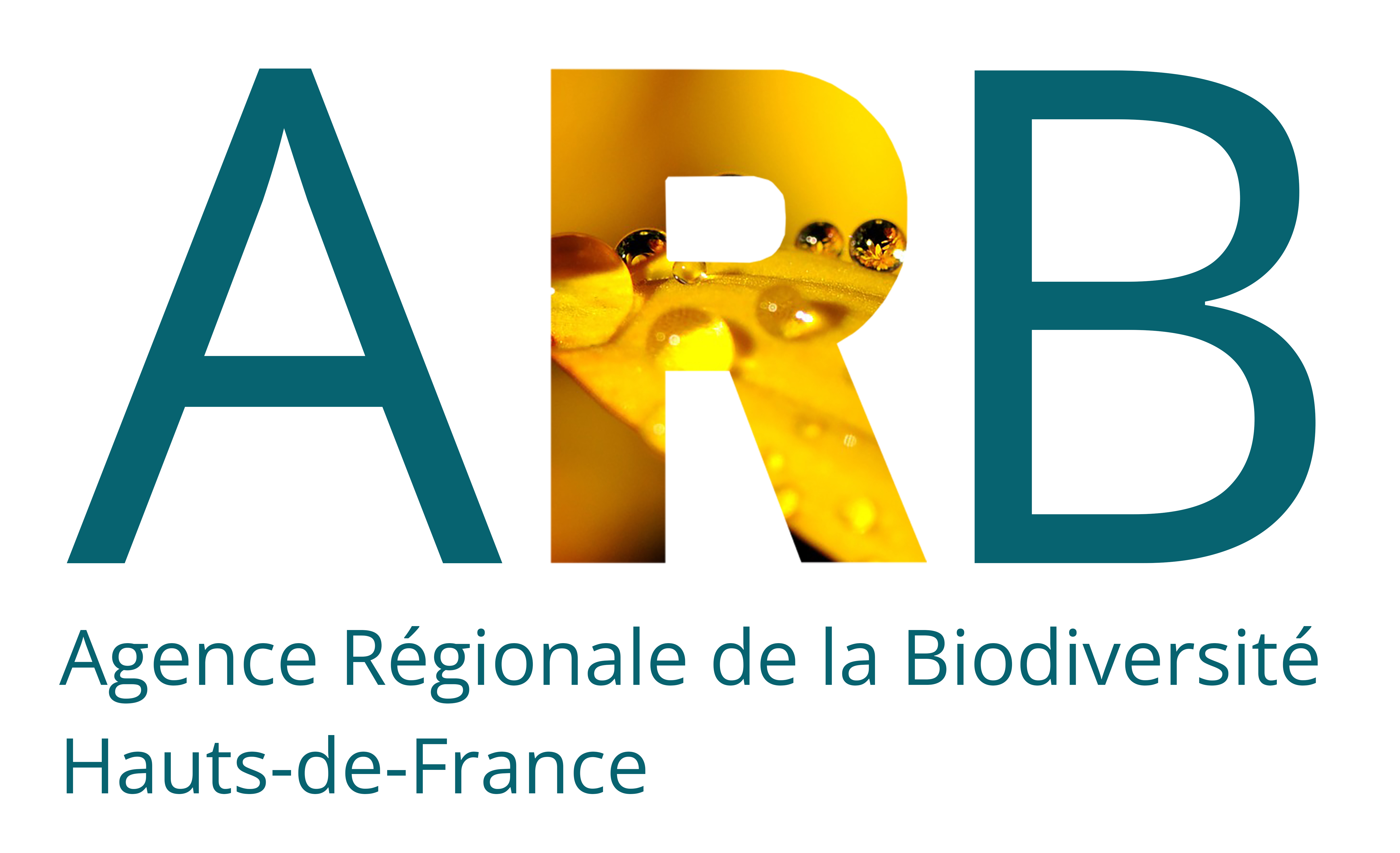 Logo ARB HdF