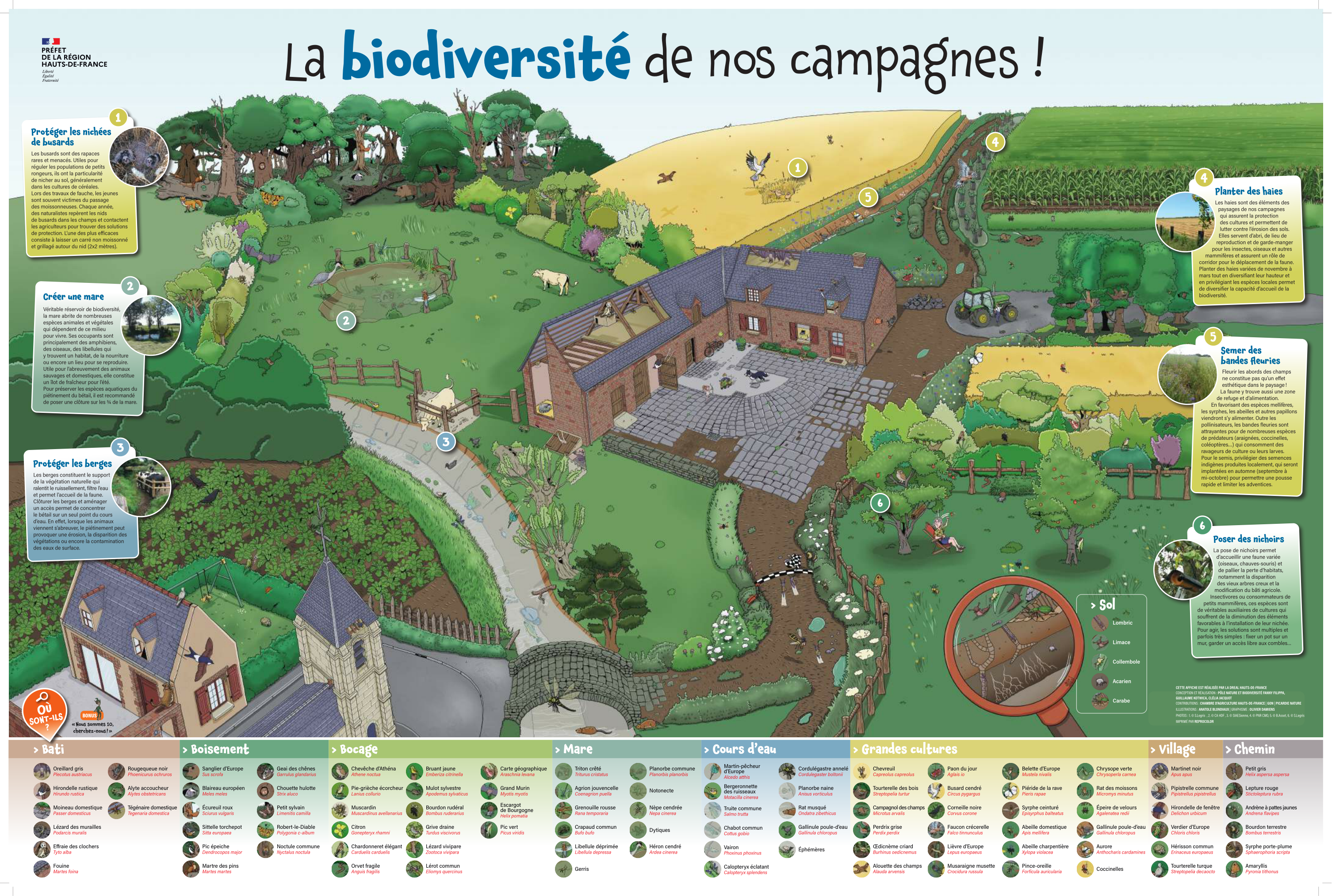 La Biodiversité de nos campagnes !