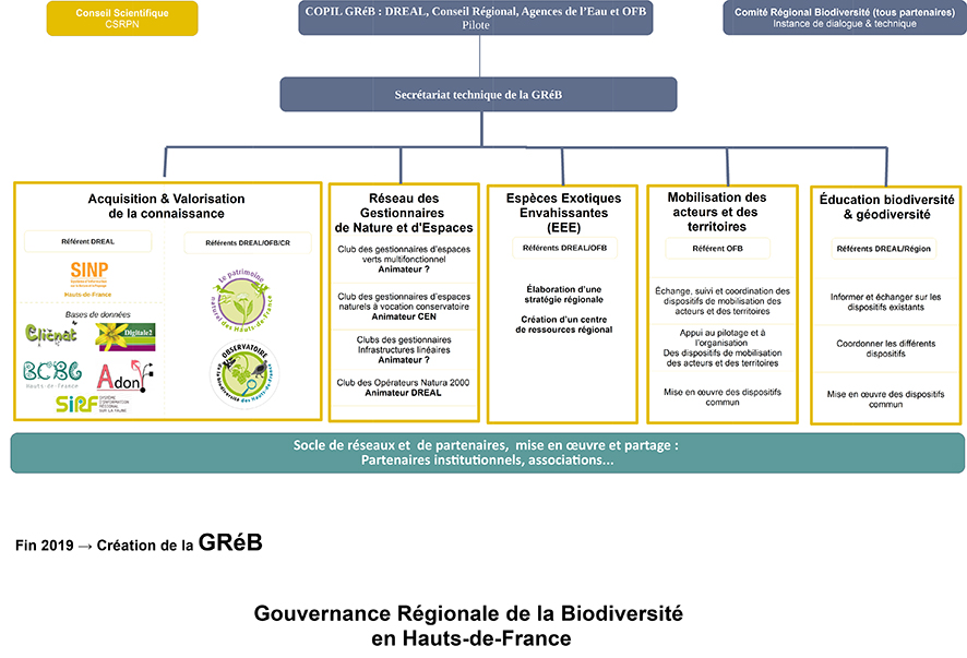 schema organisationnel GrèB