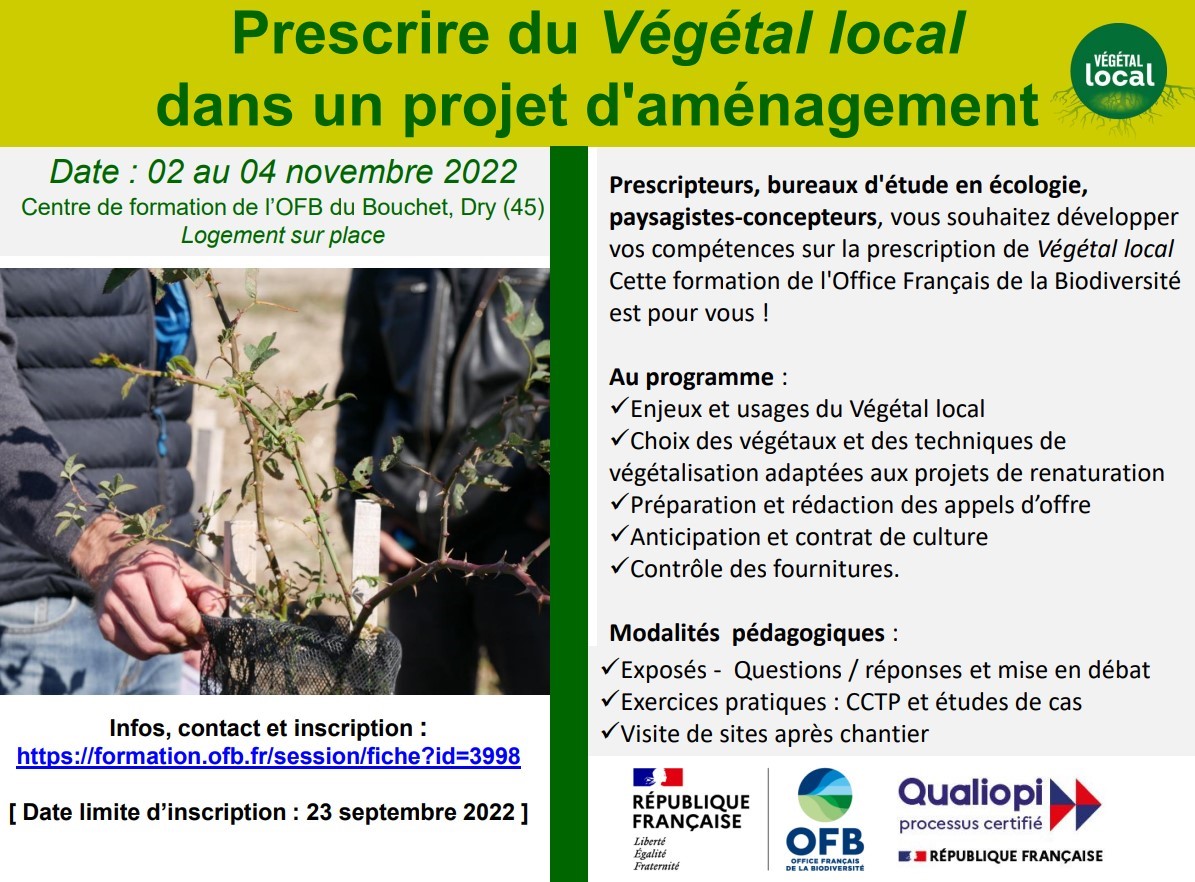 formation végétal local
