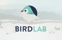 birdlab