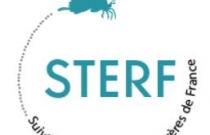 STERF