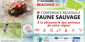 conférence faune sauvage