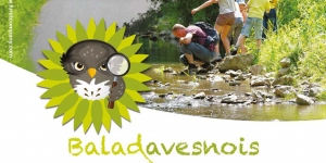 Baladavesnois