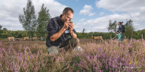 Plan National de Surveillance de la biodiversité terrestre (PNSBT) : nouveau dispositif