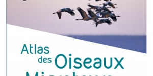 Atlas des oiseaux migrateurs