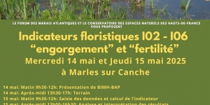Affiche présentation 