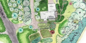 Design - plan d'aménagement en permaculture - CCP
