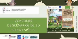 DERNIER RAPPEL - Concours scénarios de BD Super Espèces