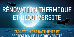 Exposition_Rénocation thermique & Biodiversité