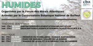 Affiche formation Flore