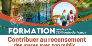 Formation