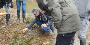 illustration partie terrain