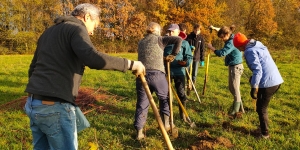 Plantation 