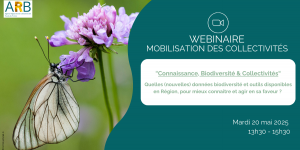 Webinaire mobilisation des collectivités