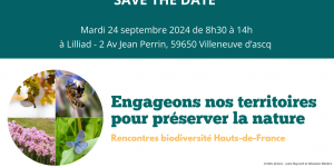 save the date événement ARB