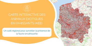 cartographie AEE