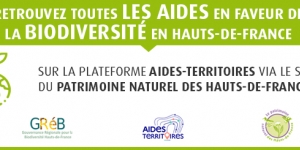 lancement aides territoires