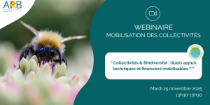 Visuel webinaire