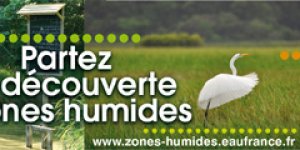 Beandeau "Partez à la découverte des zones humides"