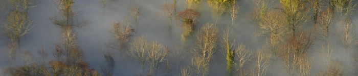 _mg_8970.jpg Thumbnail