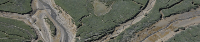 estuaire-baie-somme.jpg Thumbnail