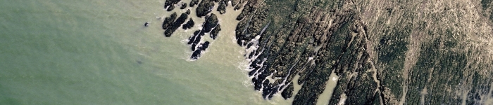 milieu-marin.jpg Thumbnail