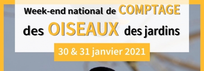 Comptage national des oiseaux