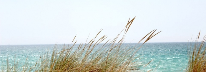 Réserve naturelle Dune Marchand