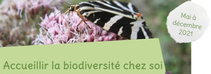 Accueillir la biodiversité chez soi