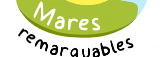 Mares remarquables