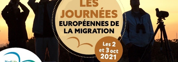 journées européennes de la migration