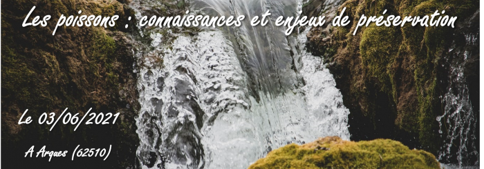affiche_journée_FMA_poissons