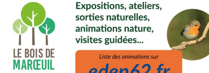 bois de maroeuil