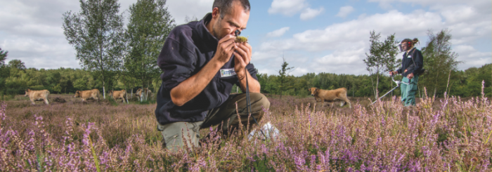 Plan National de Surveillance de la biodiversité terrestre (PNSBT) : nouveau dispositif