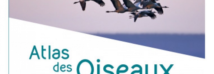 Atlas des oiseaux migrateurs