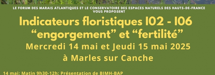 Affiche présentation 