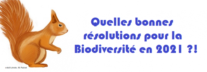 bonne résolution crédits Mathilde Fabelt