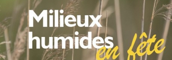 Milieux humides en fête