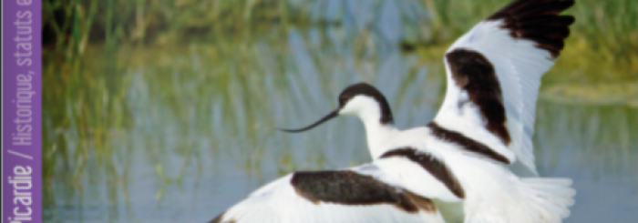 Les oiseaux de Picardie