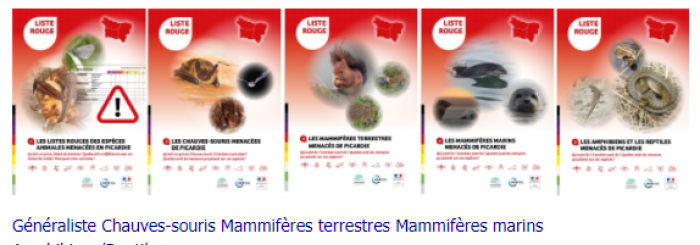 Listes rouges des espèces animales picardes