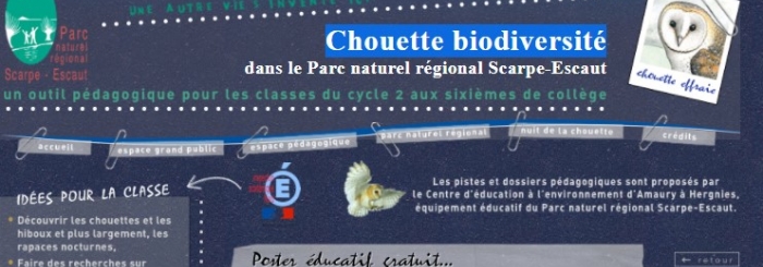 Chouette biodiversité dans le Parc naturel régional Scarpe-Escaut