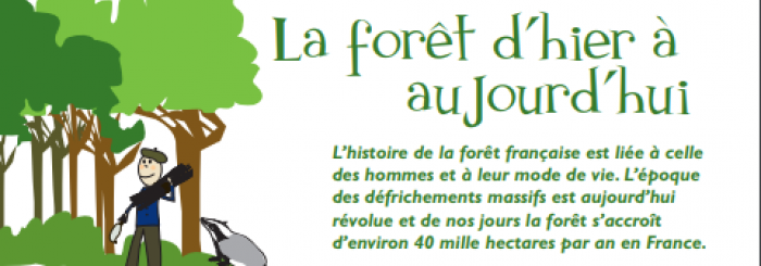 la forêt d'hier à aujourd'hui