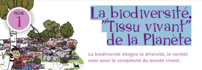 La biodiversité tissu du vivant