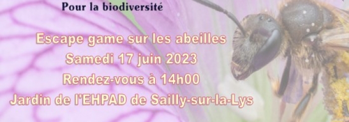 Escape game sur les abeilles sauvages. Rdv à 14h au jardin de l'EHPAD de Sailly-sur-la-Lys. Inscription obligatoire sur le site de Lestrem Nature