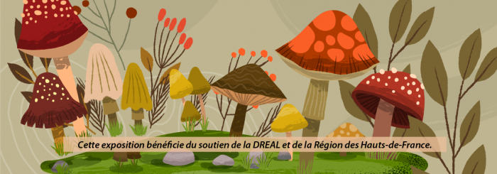 Expo champignon