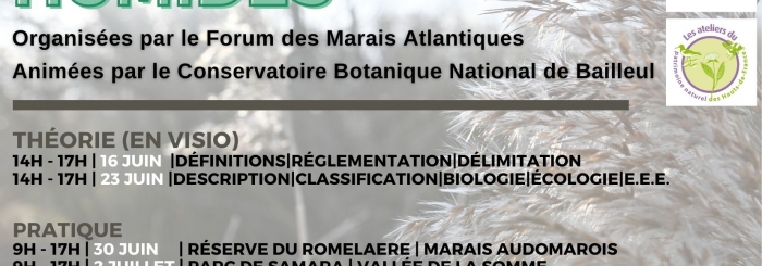 Affiche formation Flore