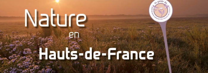Nature en Hauts-de-France