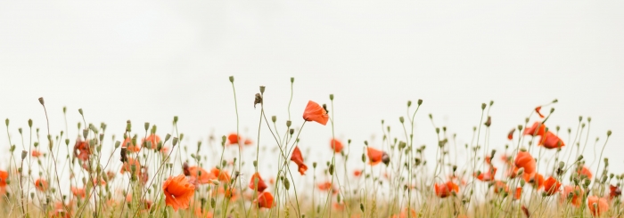 photo unsplash