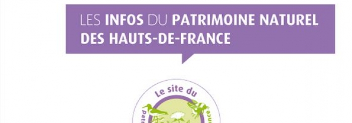 En-tête newsletter ptrimoine naturel des Hauts-de-France